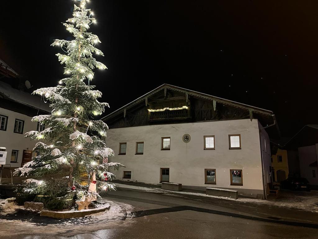 Stuwip Alps Appartement Sonnenstein Fulpmes Eksteriør bilde